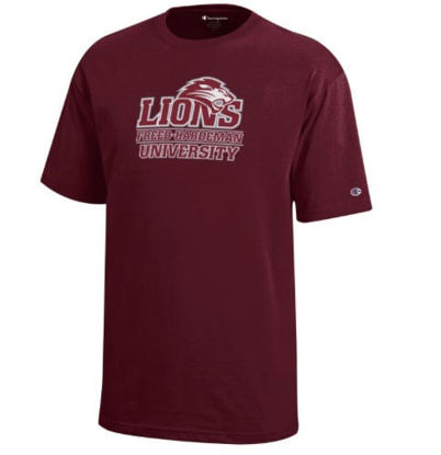 Picture of Champion Youth T-shirt - Maroon