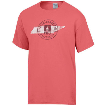 Picture of Gildan Comfort Wash Fashion Shirt with Academic Logo & TN- Coral