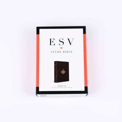 Picture of ESV Large Print Compact Bible TruTone®, Stone, Branch Design