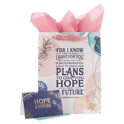 Picture of I Know the Plans Gift Bag and Card Set