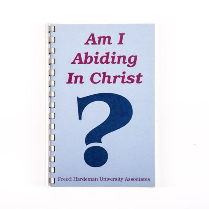 Picture of Am I Abiding in Christ?