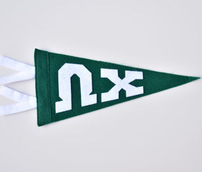 Picture of Omega Chi Mini-Pennant